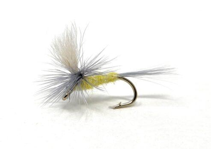 Parachute Pale Morning Dun