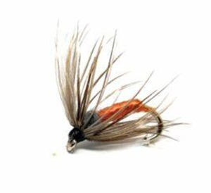 Partridge and Orange Soft Hackle