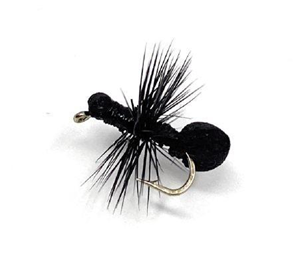 Black Foam Ant