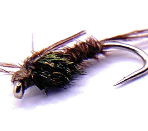 Pheasant Tail Nymph