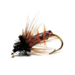 October Caddis Nymph